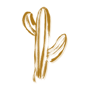 Desert Strandz logo