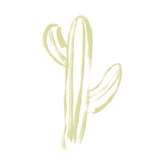 Desert Strandz logo