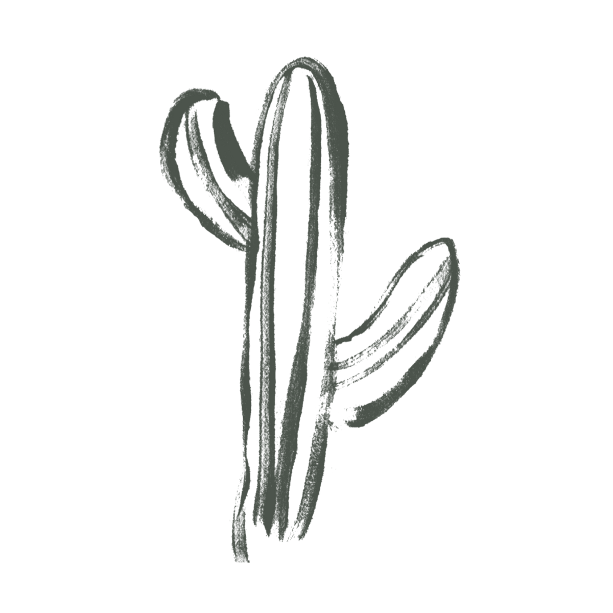 Desert Strandz logo